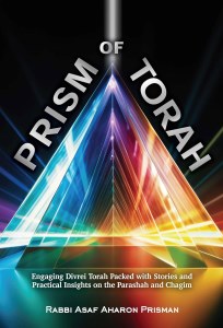 Picture of Prism of Torah [Hardcover]